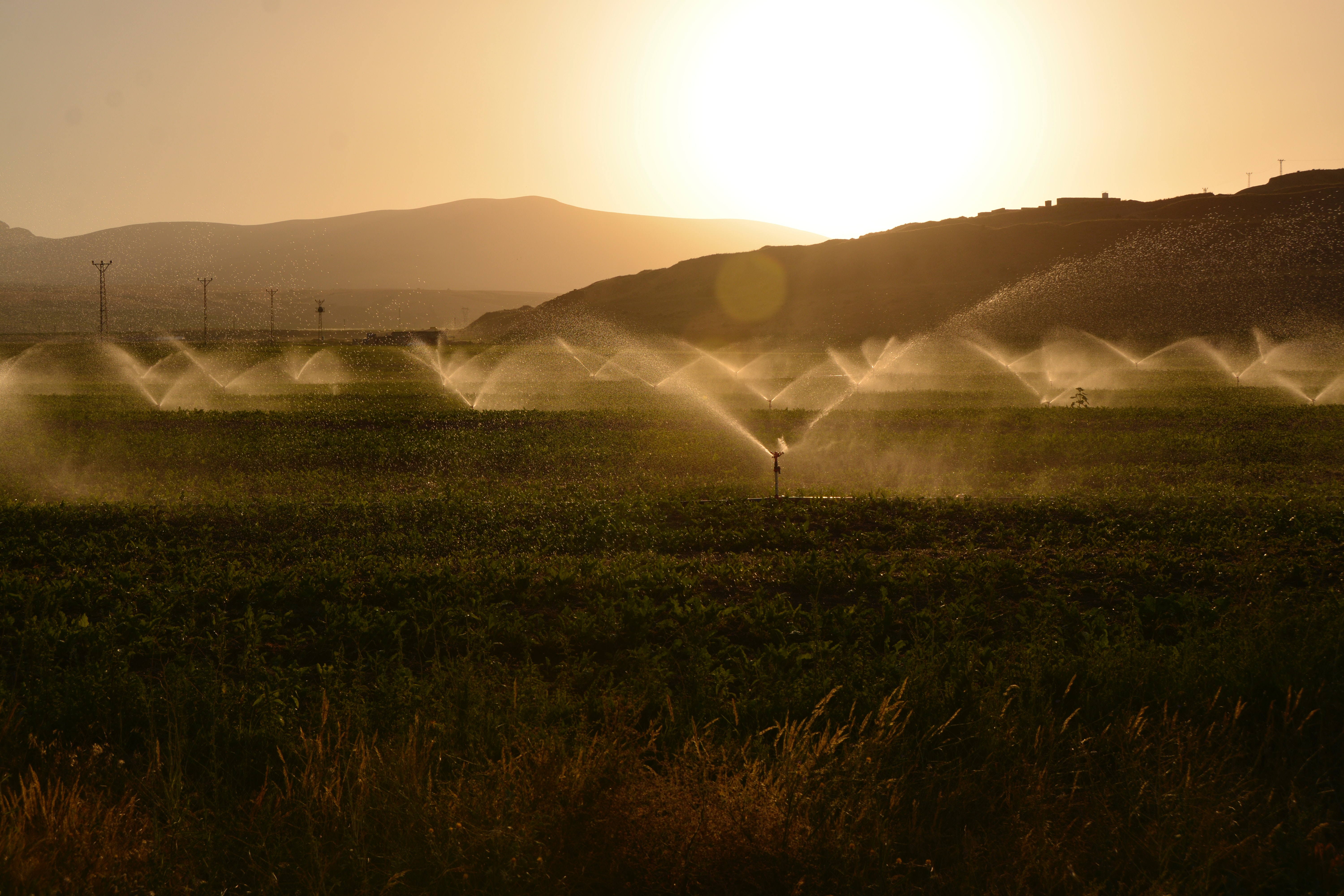 Irrigation